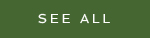 See All Button - green