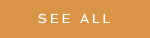 See All Button - orange